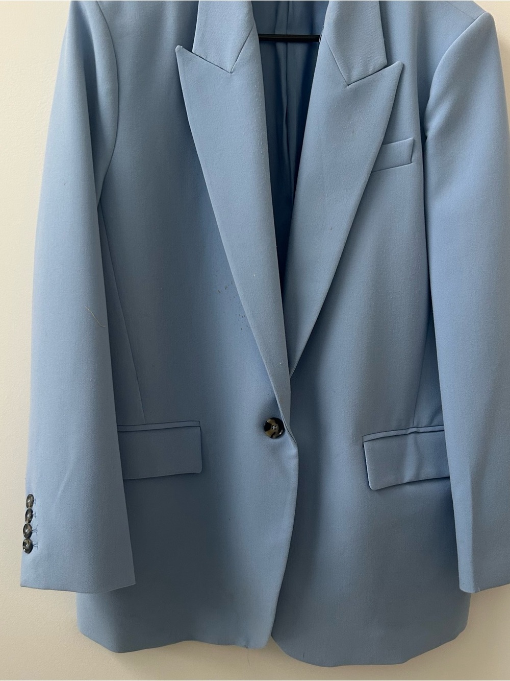 Stunning Blue Zara Blazer